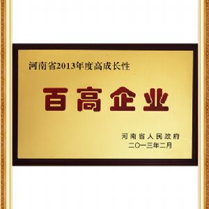 河南省高成长性百高企业